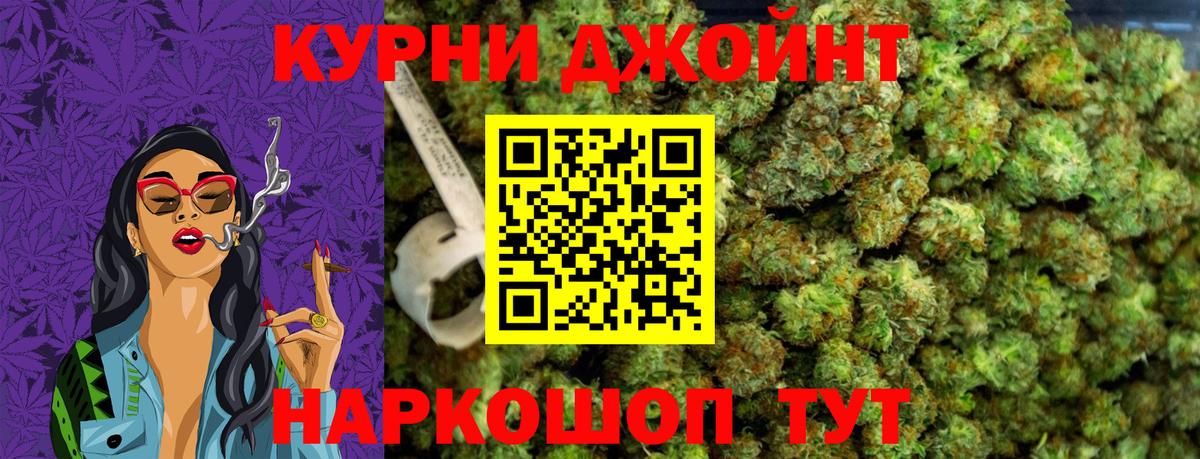 Каннабис MAZAR  Канабис семена  Малгобек  Вход с VPN 